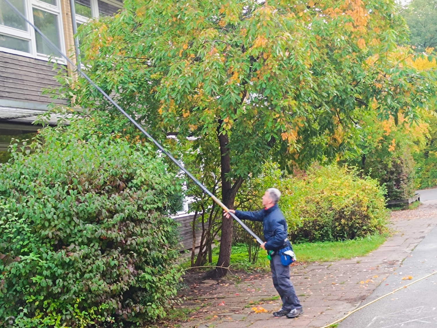 Zoro Gebäudereinigung - ein Mann beschneidet einen Baum